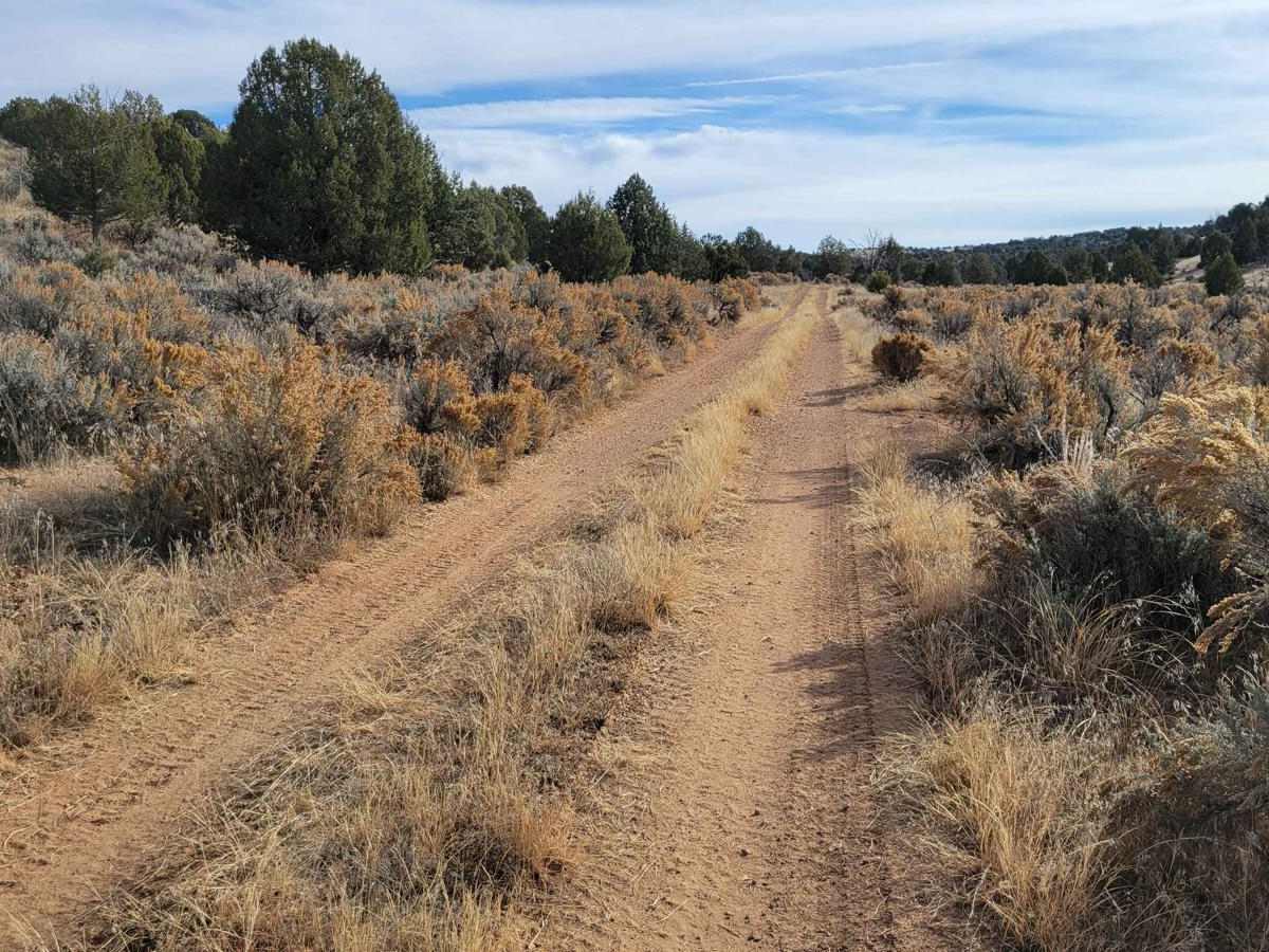 BLM Road 1620 photo 4