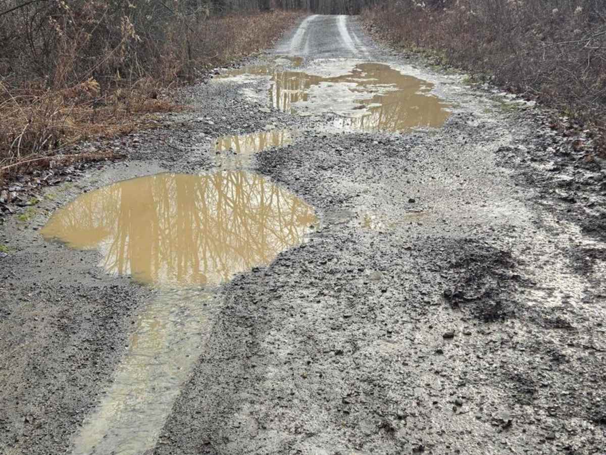 Van Amburg Road photo 3