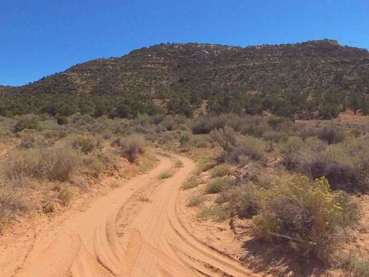 Beef Basin Wash - San Juan County B199 photo 4