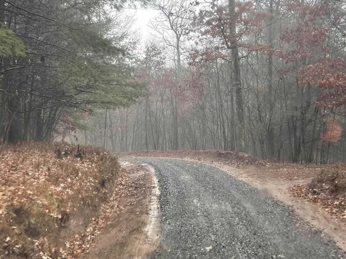 MD Green Ridge to Gorge Trail photo 6