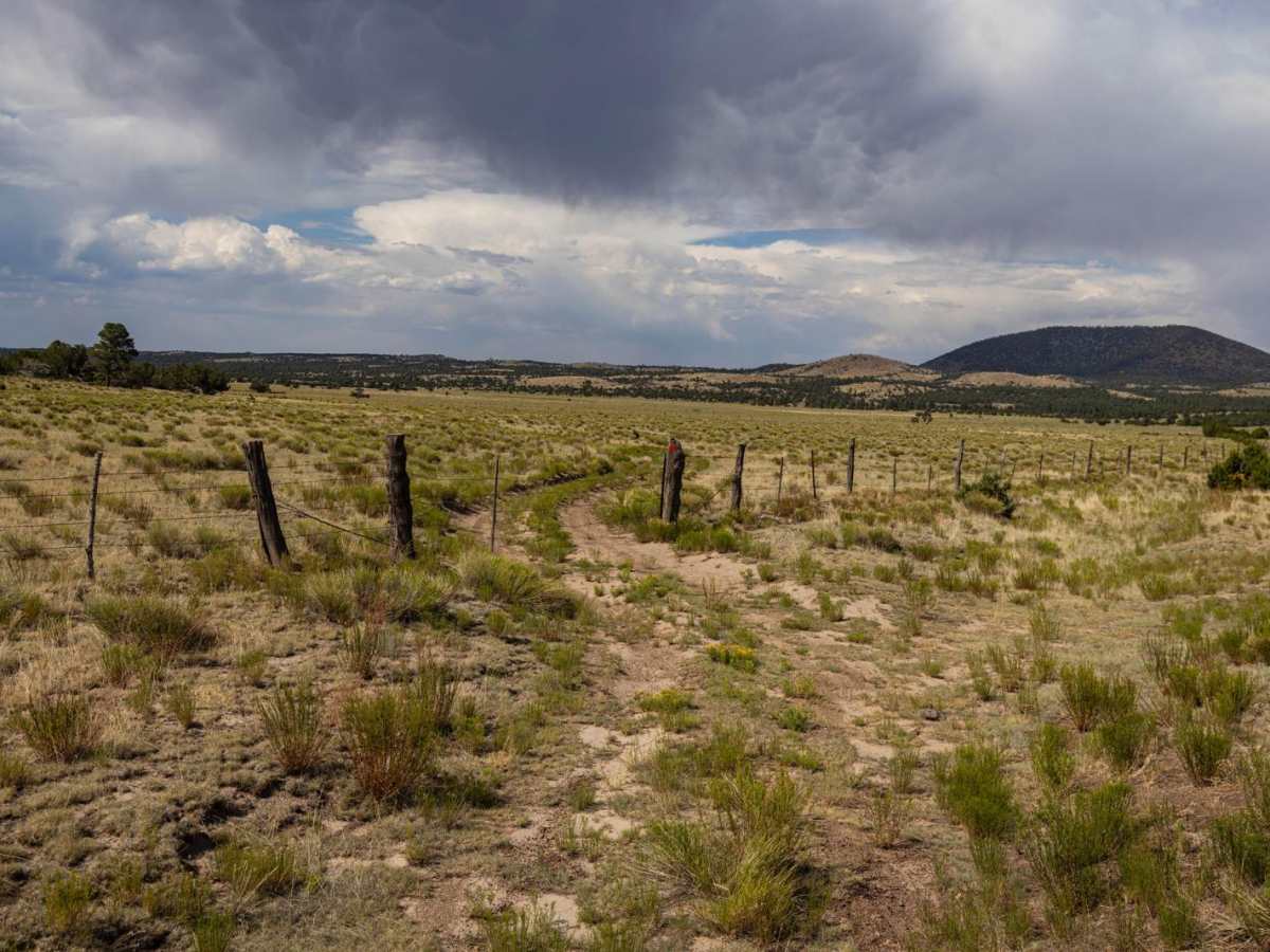 Pasture Waterline trail photo