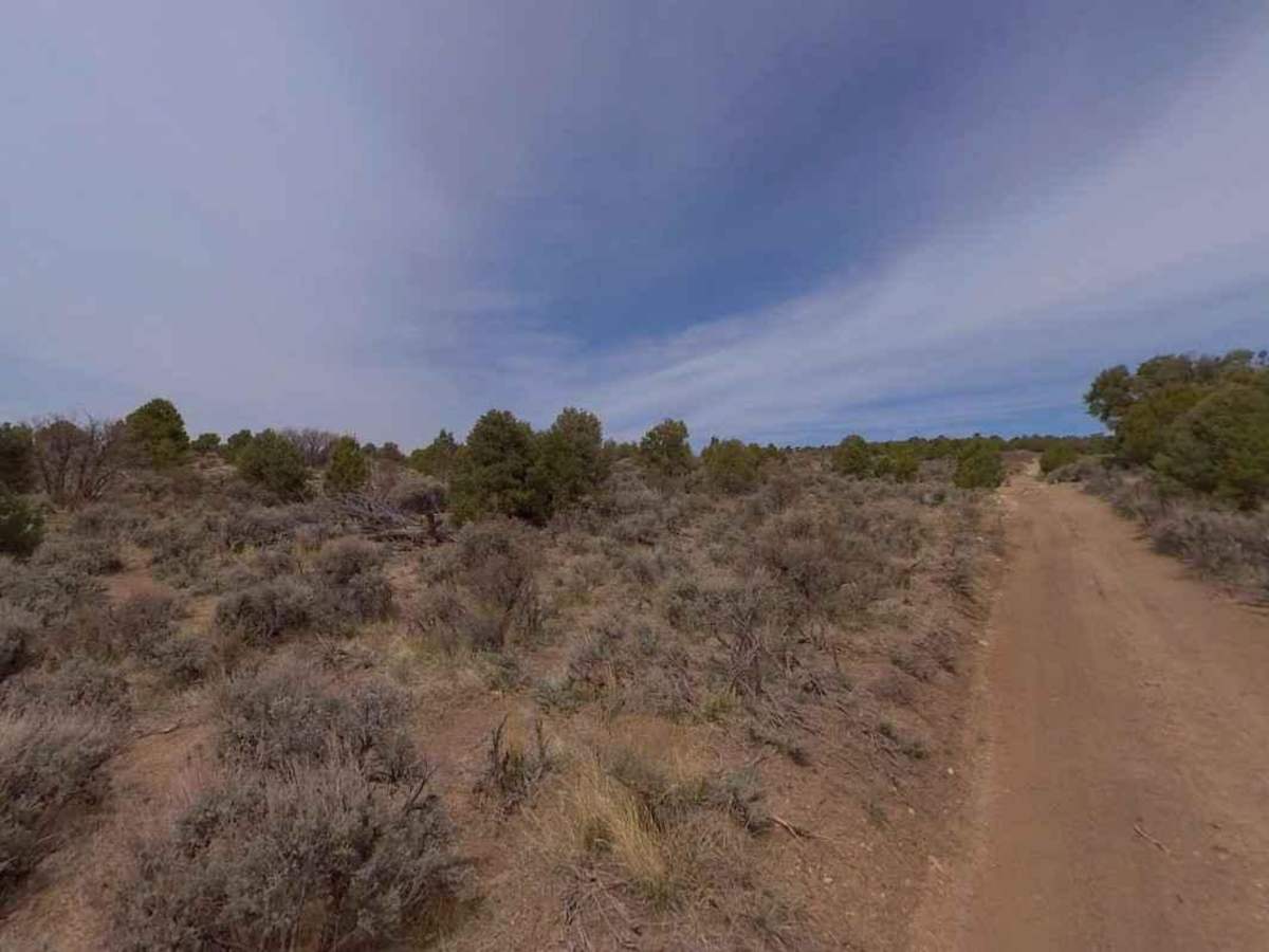 Dixie National Forest-FR31014 photo 2