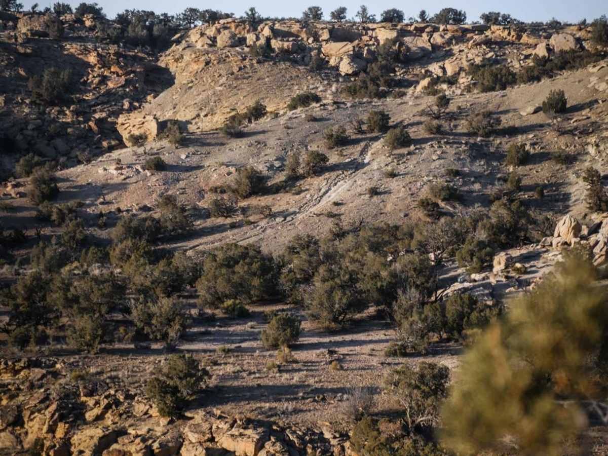 Overlook Trail Part 2 photo 4