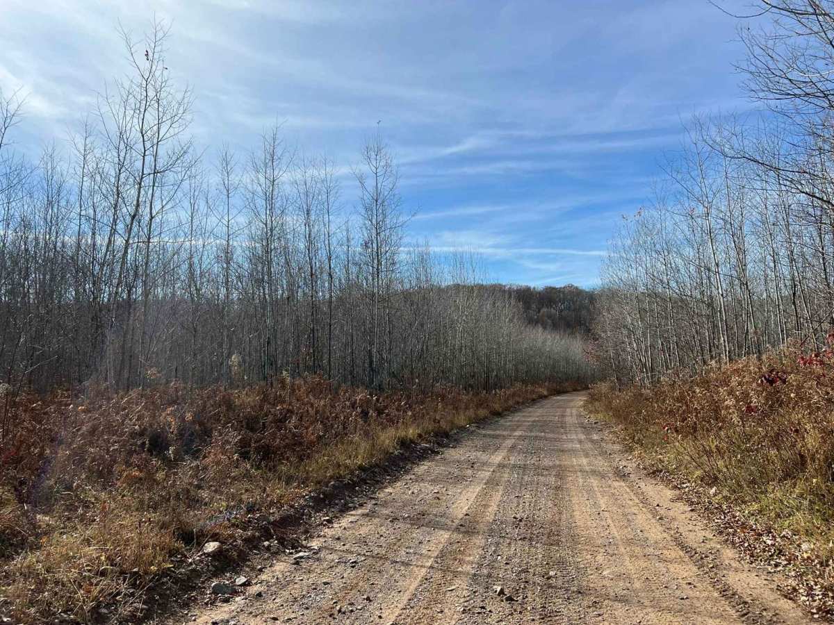 Marinette County Spur Lake Road F5 Trail photo 6