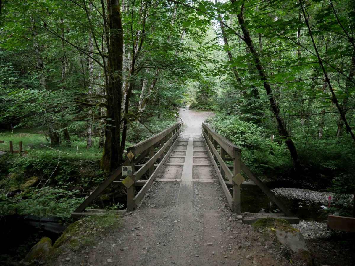 Salmon trail photo