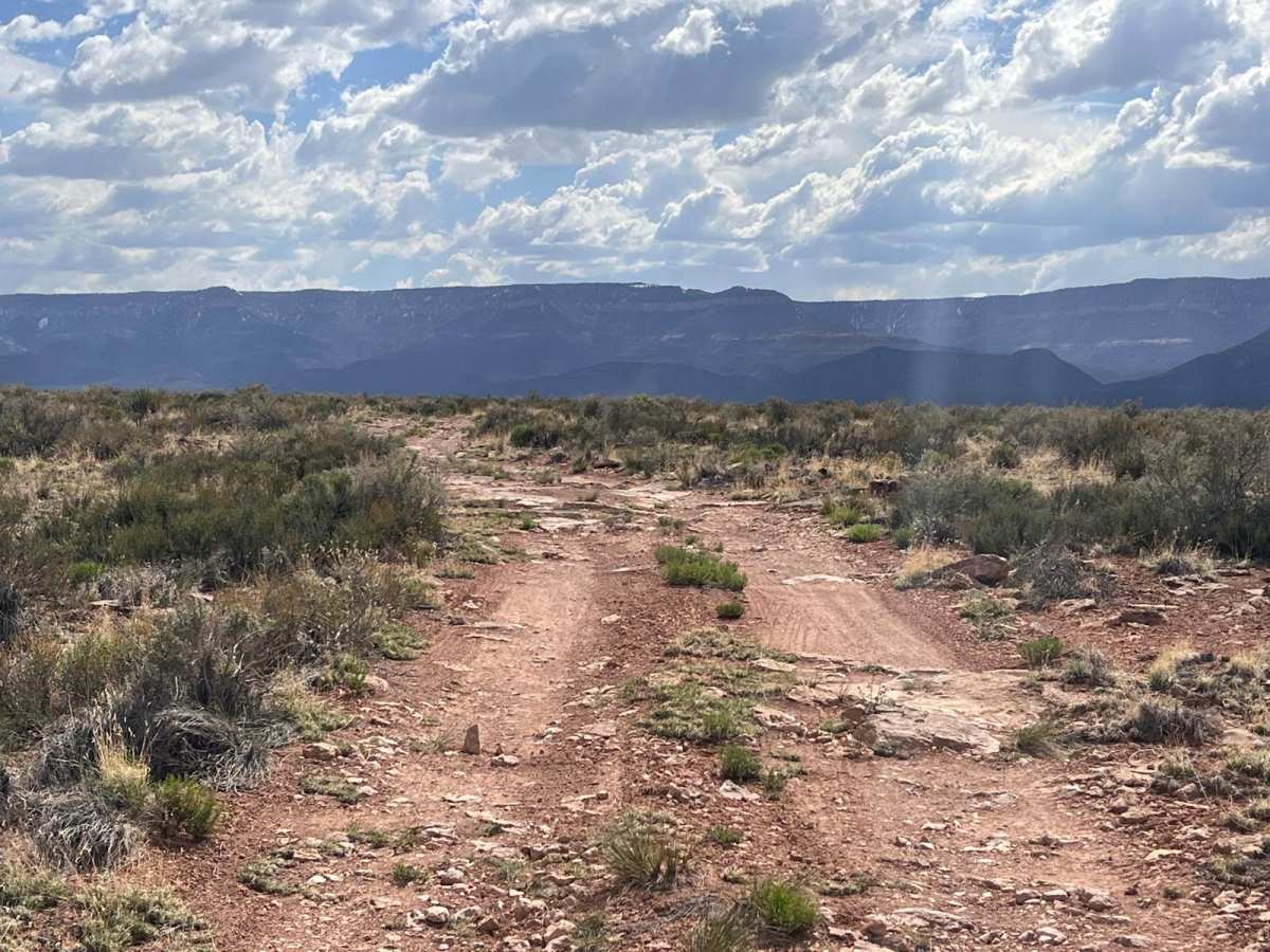 Vaseys Hiking Trailhead photo 4