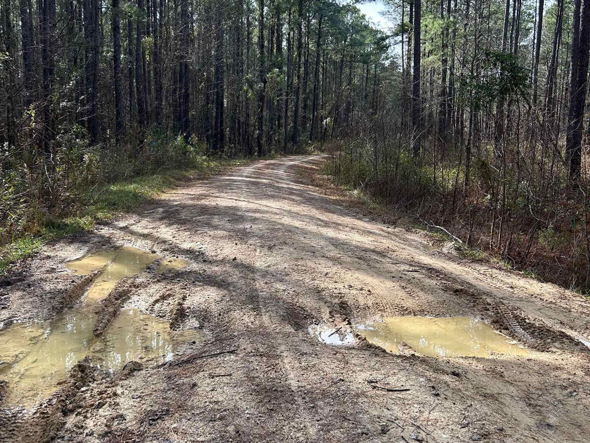 New Hope Road - FSR177 photo 6