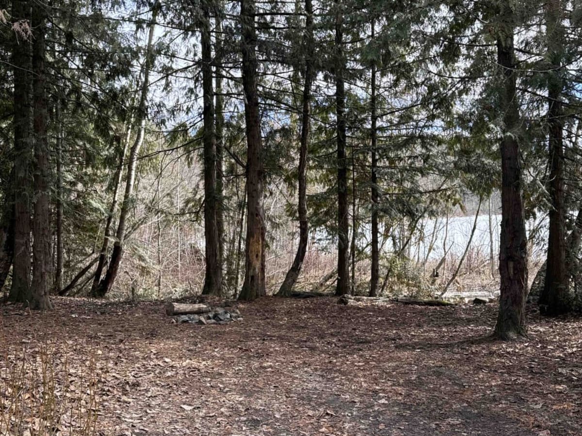 Spanish Lake via Silvernails Road photo 6