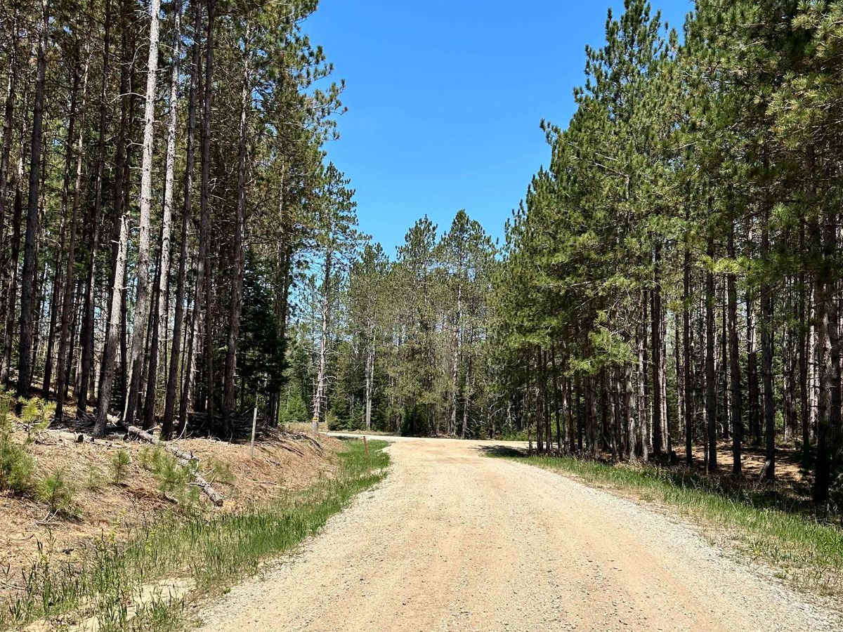 Cadillac Area ORV/OHV Scenic Ride - Part 18 photo 4