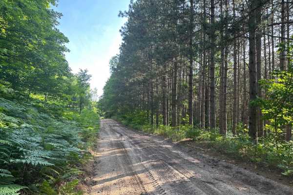 Fortine Road