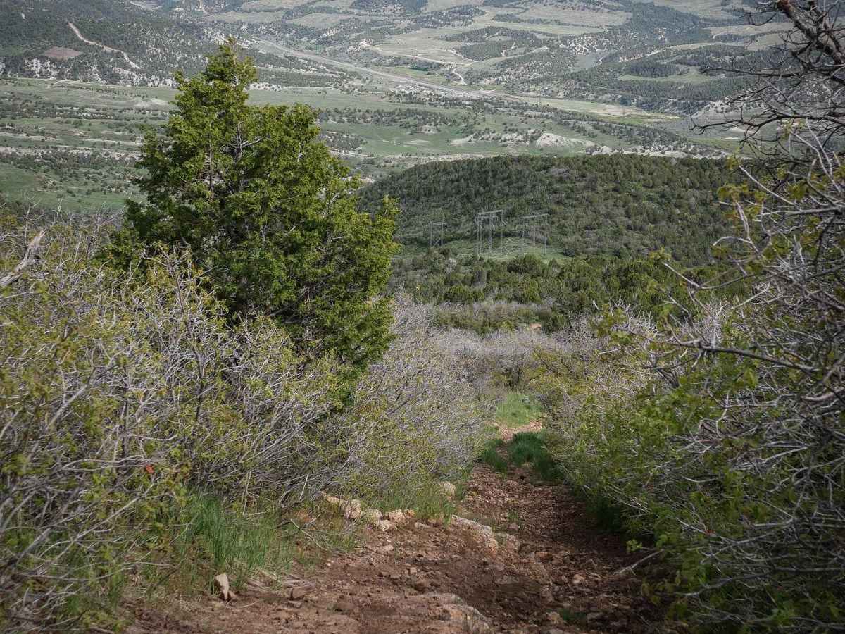 Teat Mountain ATV #202 photo 3