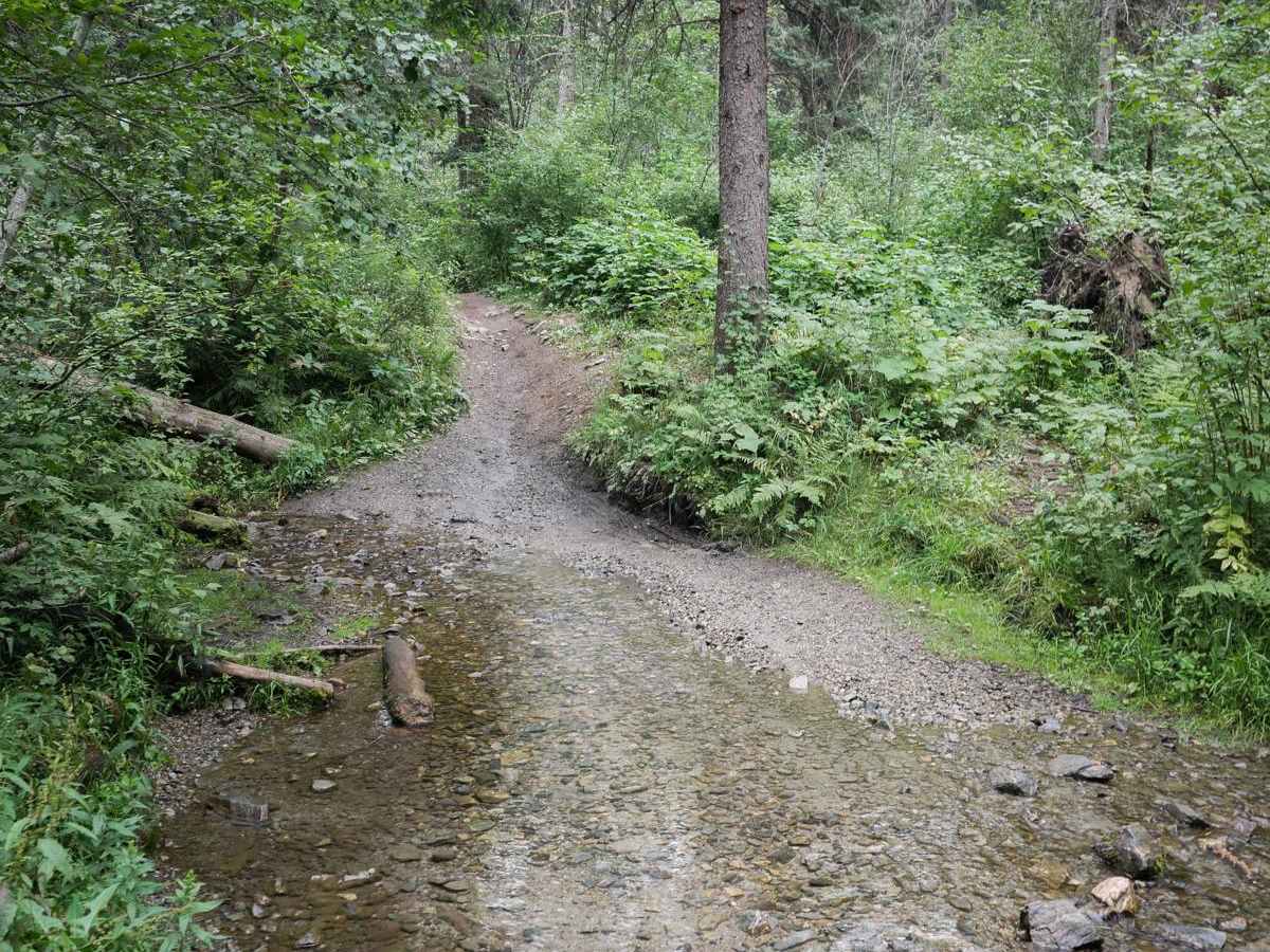 Truman Gulch photo 3