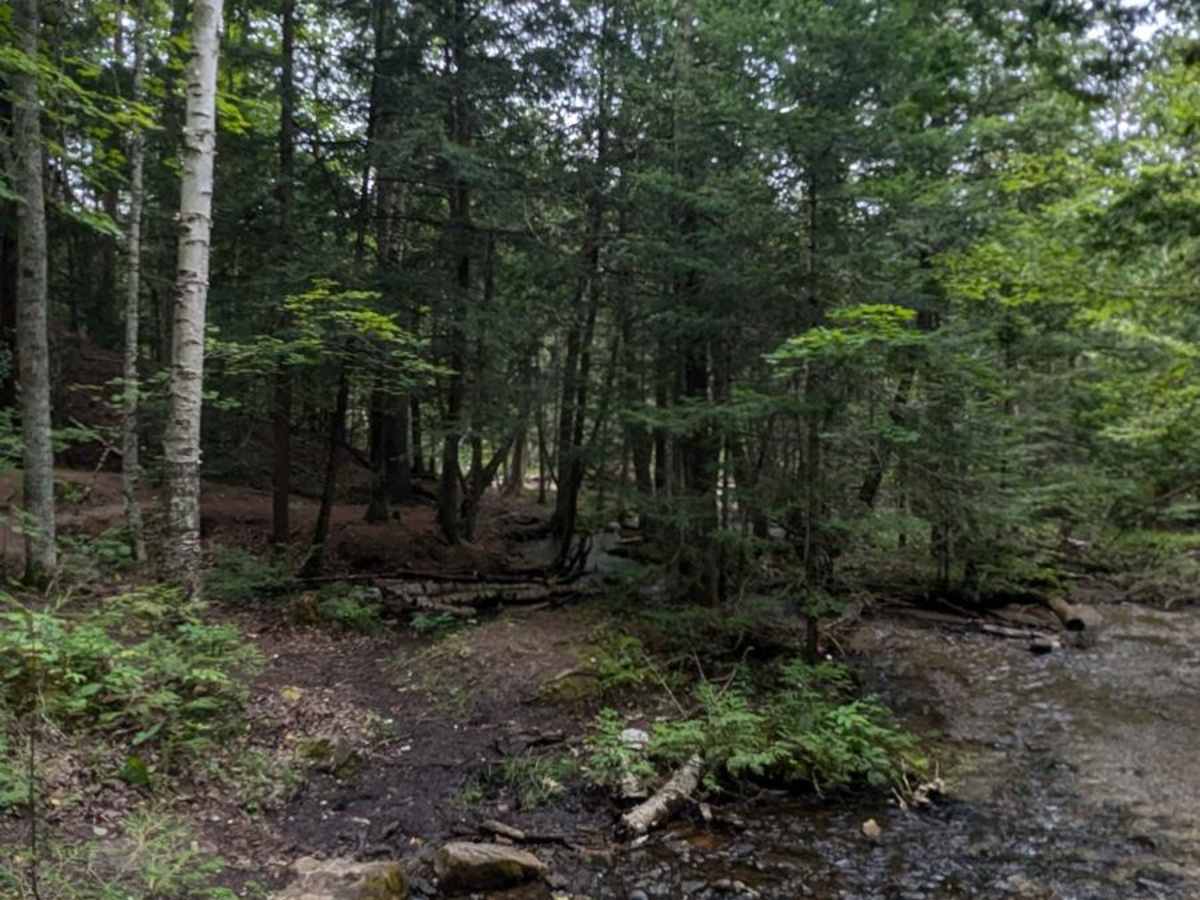 Silver Creek photo 4