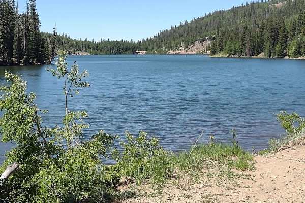 Rigger to Puffer Lake (FS 40129/PST 29)