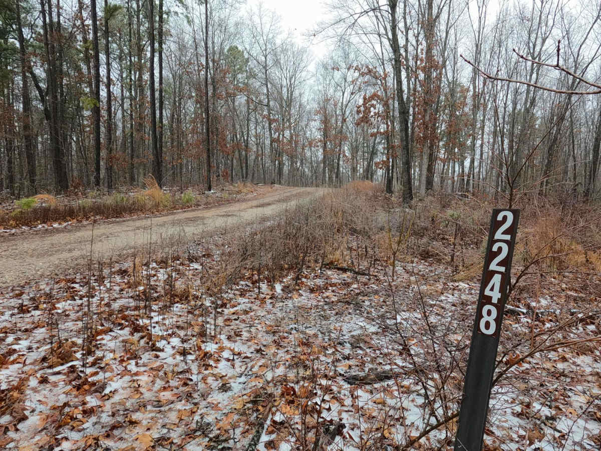 Criswell - FS 2248 trail photo