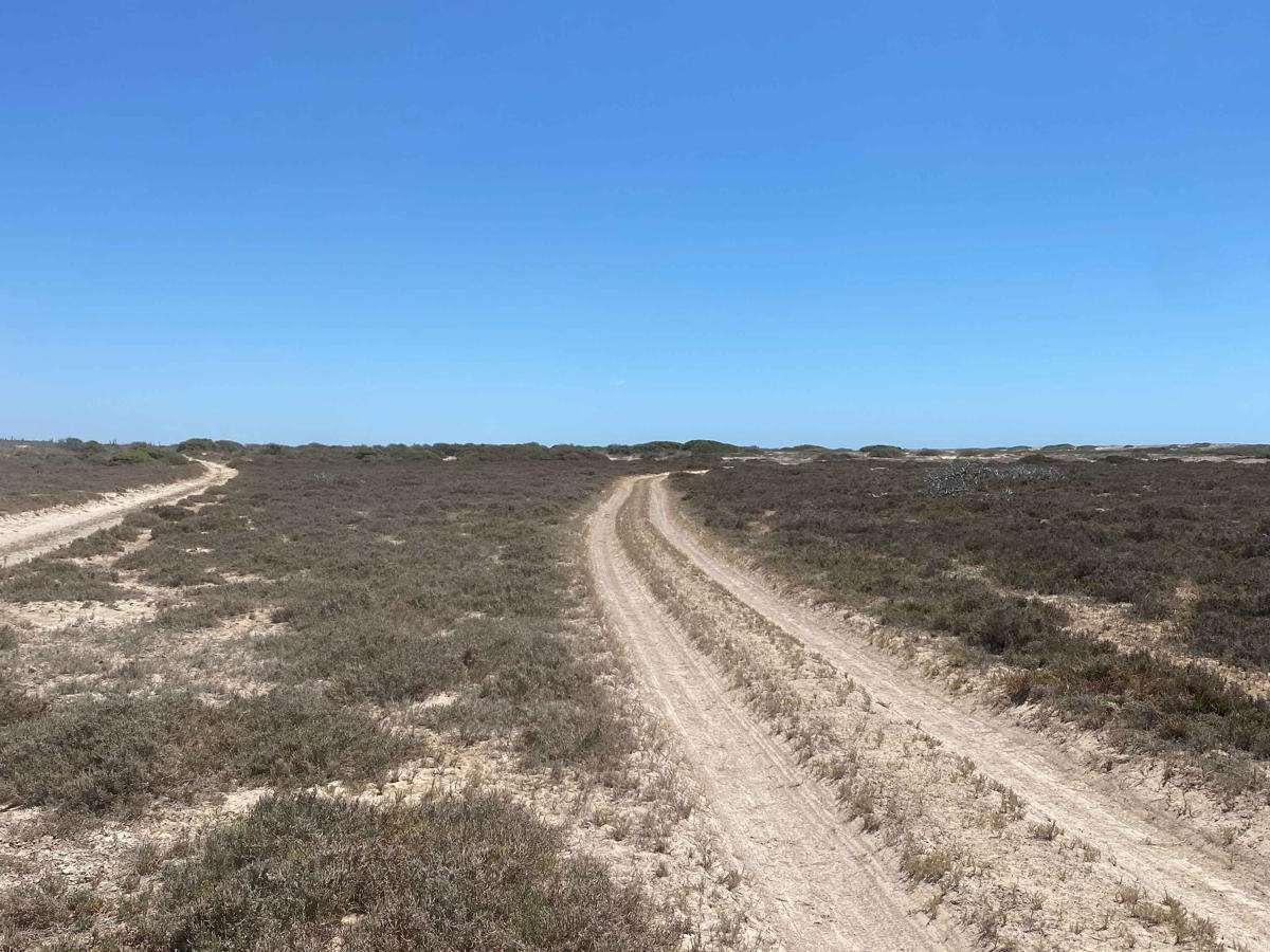 Rancho Progresso Coastal trail photo
