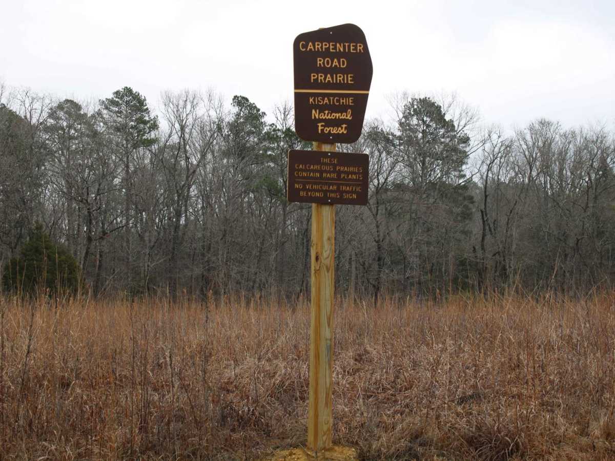 Gum Springs and Fowler trail photo