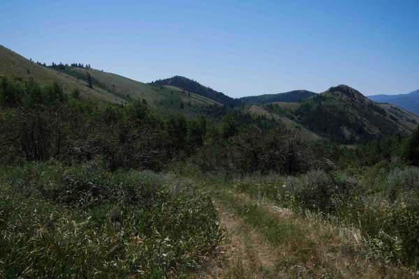 North Sulphur Canyon #5245 