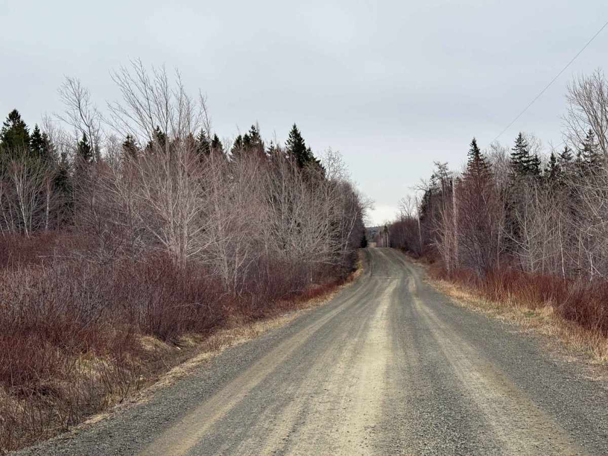 Thorne Road Trail photo 3