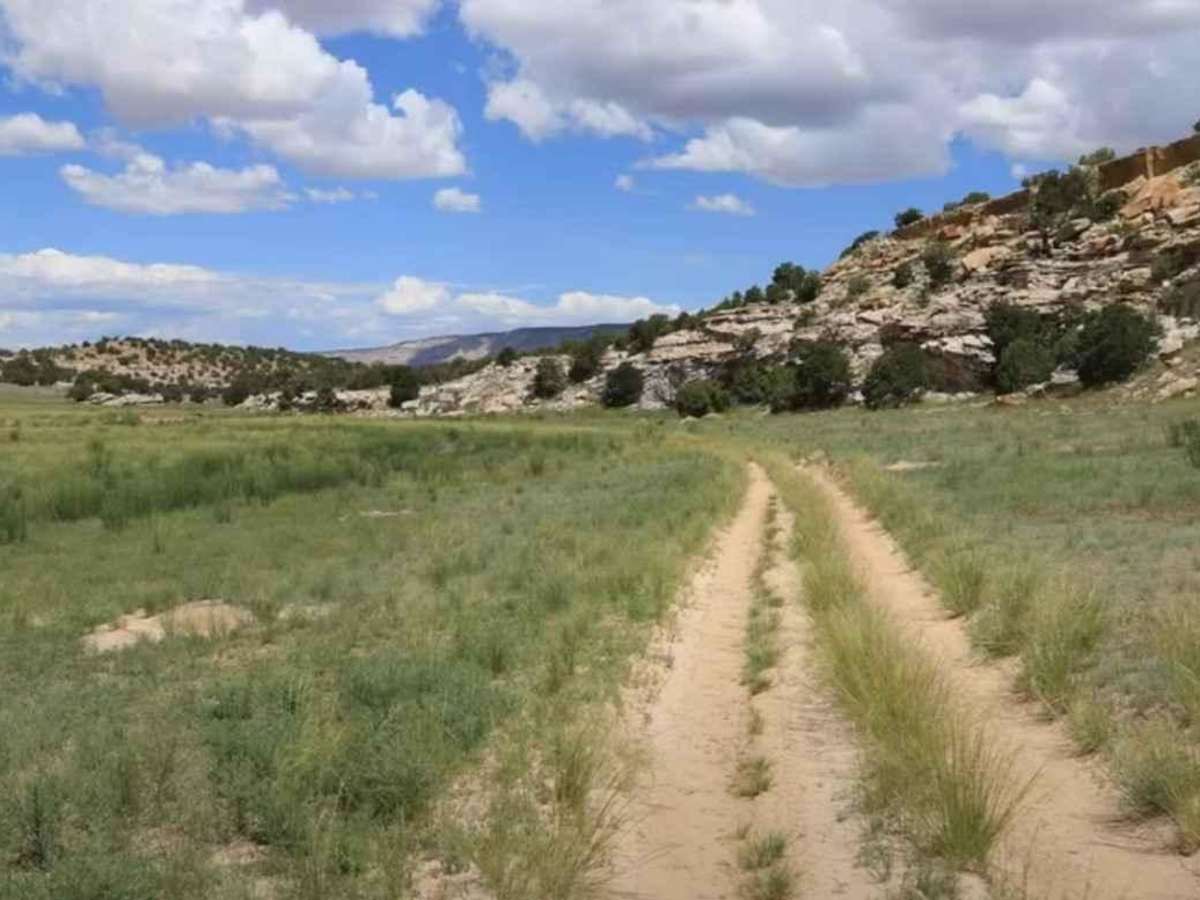 Wilberg Road - Prickly Pear Flat photo 5