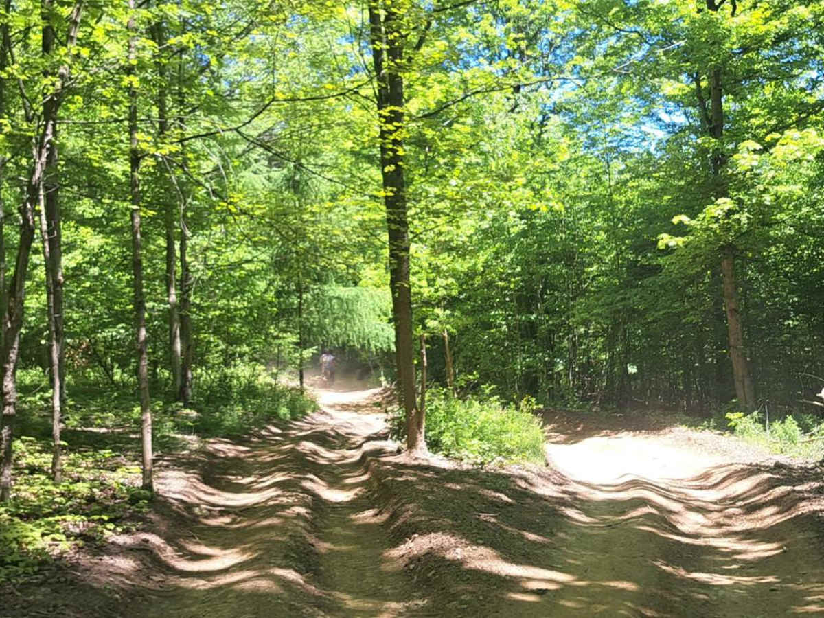 Figure 8 photo 2