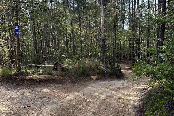 Trail 28