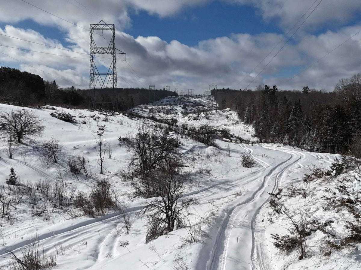 Darling Power Line photo 2