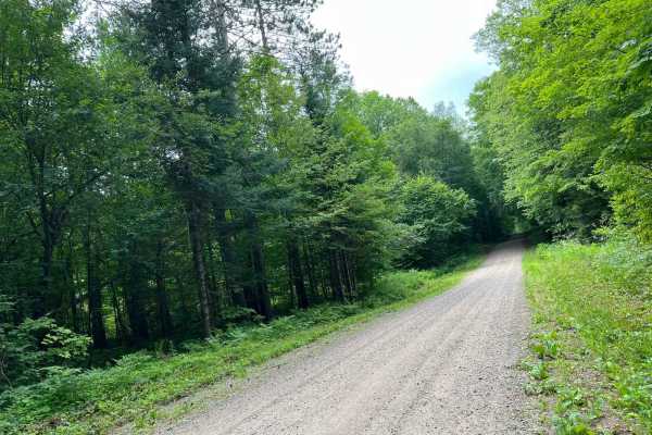 Trestle Road - FS 2696