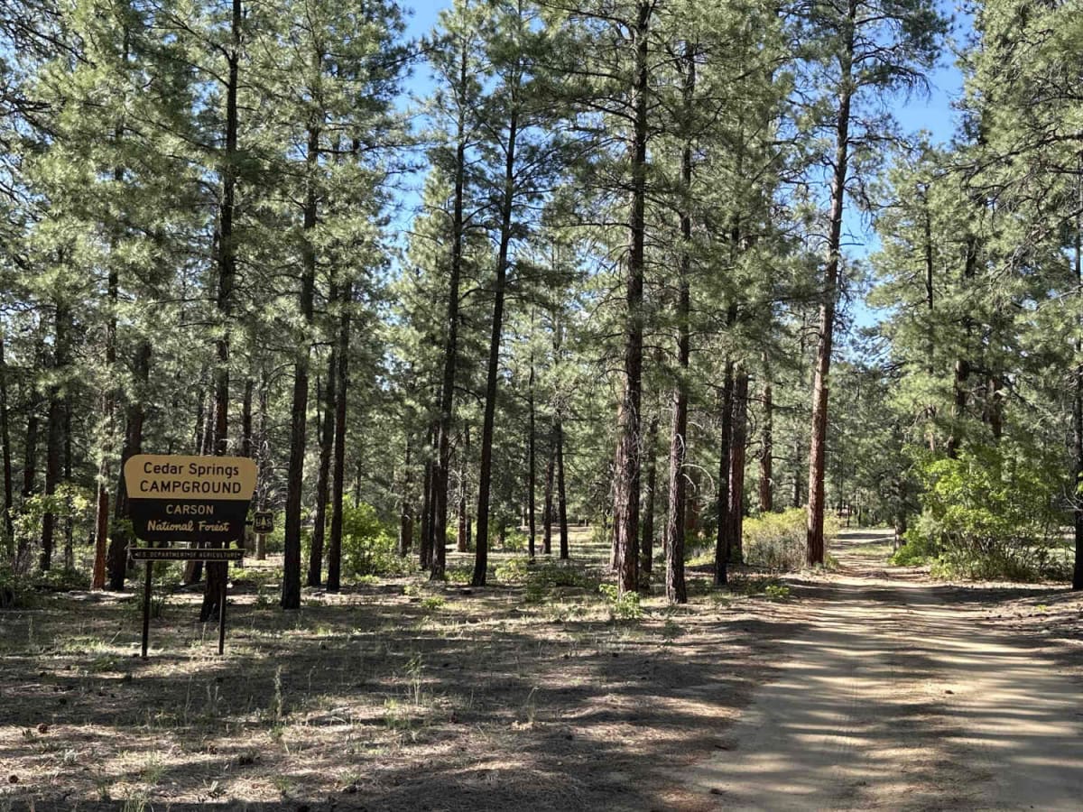 Cedar Springs Loop photo 2