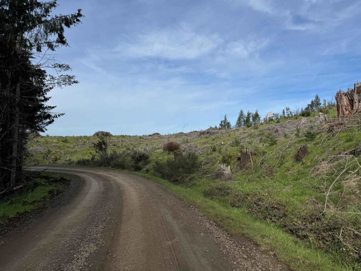 Pittsburg Road photo 4