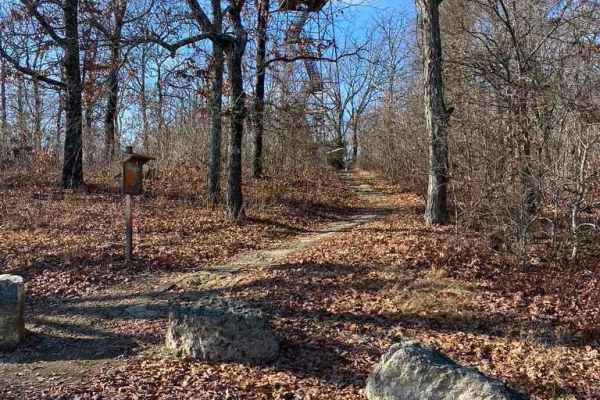 Knob Lick Tower Road