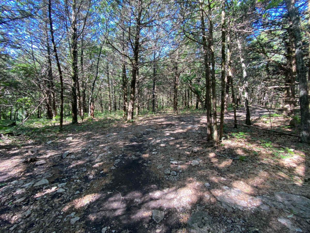 Turner's Trail trail photo