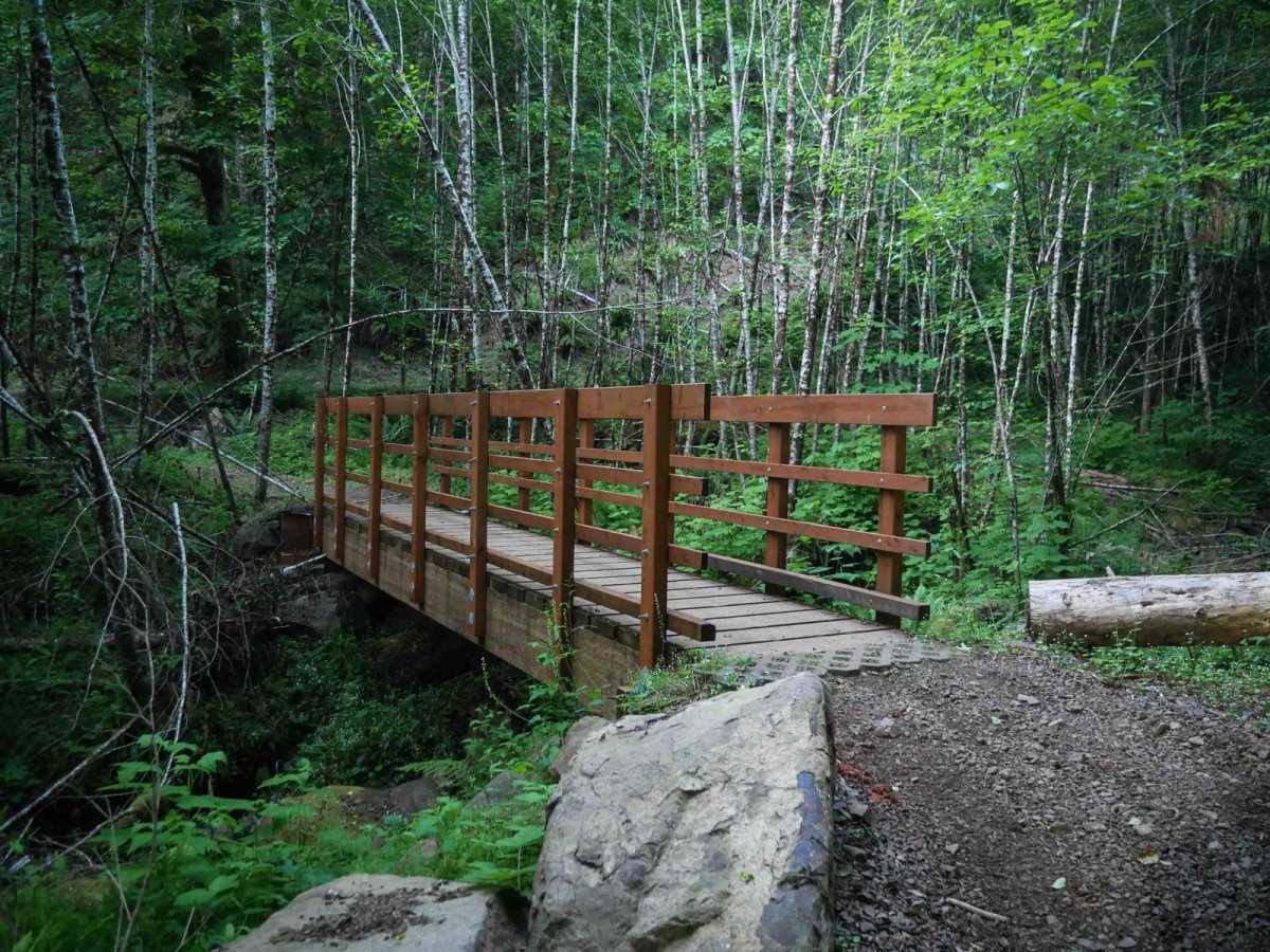 Deerfence #71 trail photo