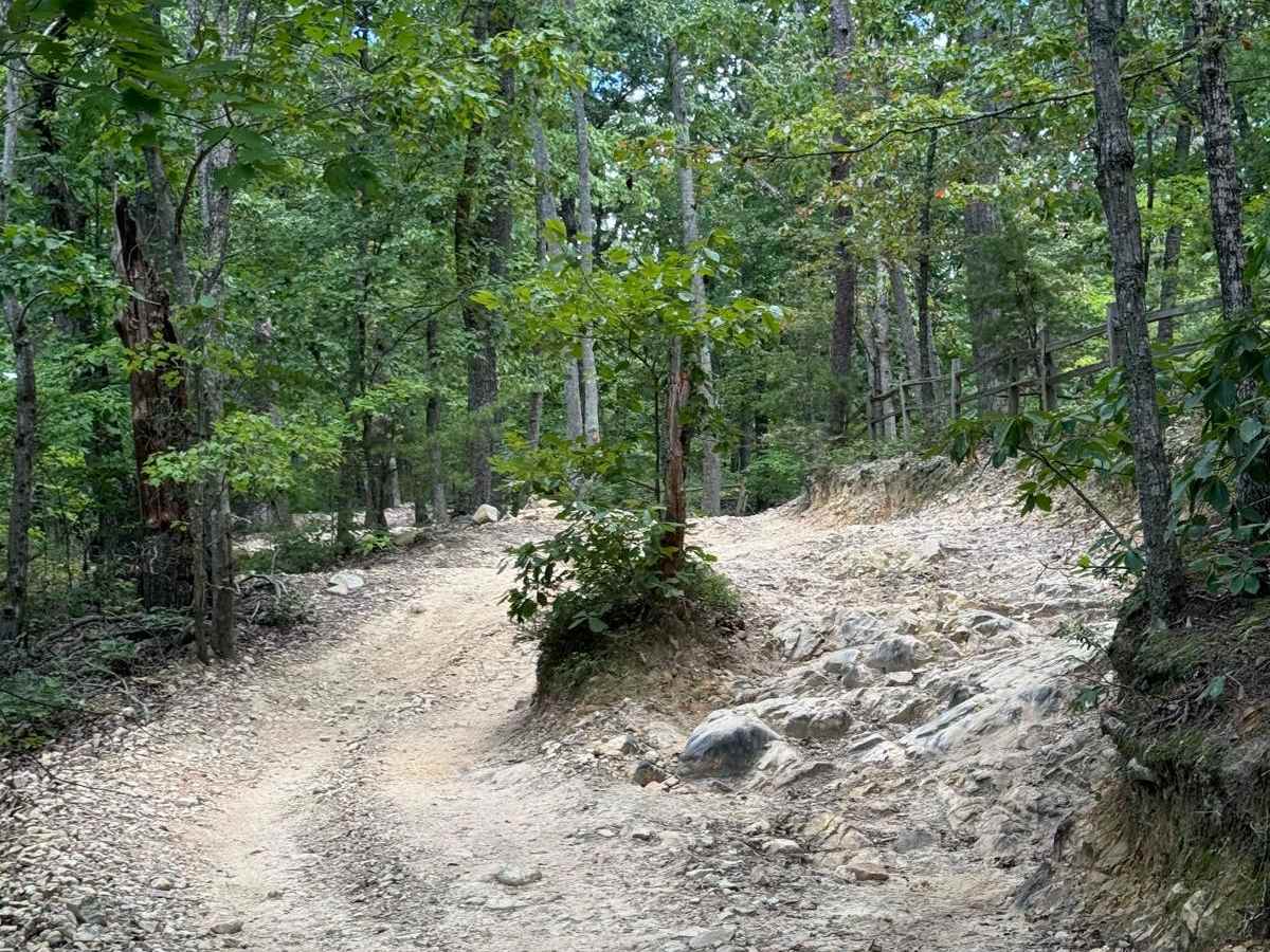 Dickey Bell Trail 91 photo 3