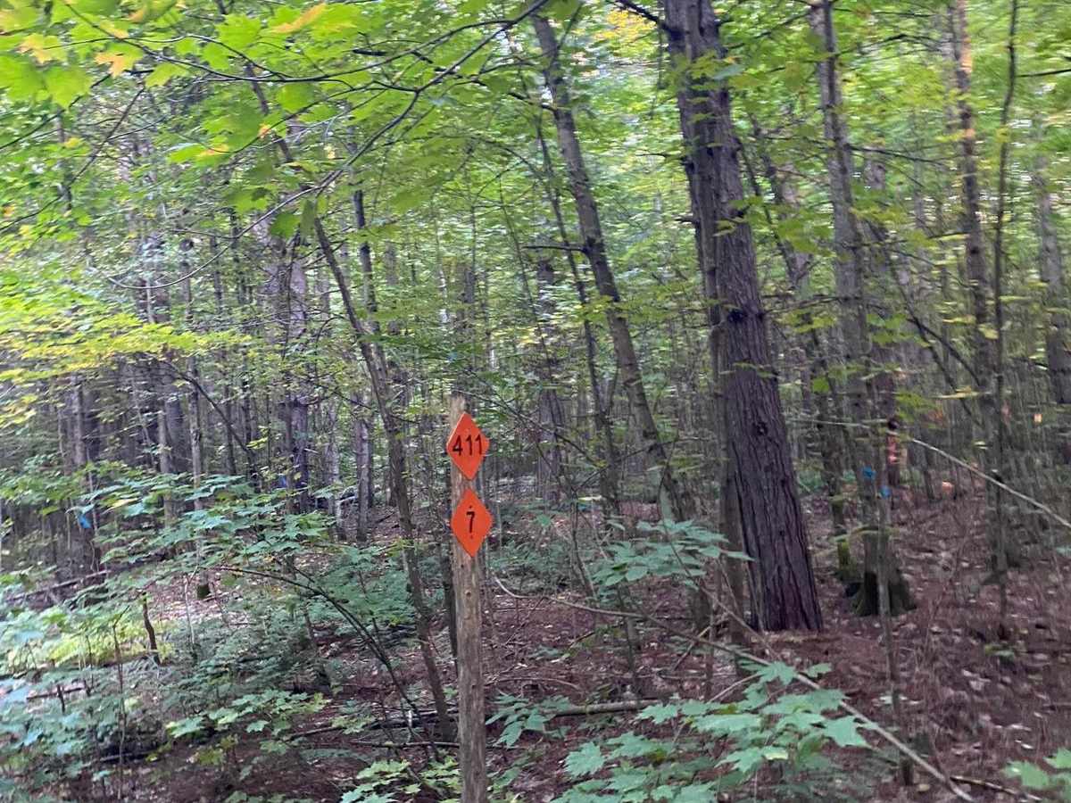 Trail 7 to Buckhorn Resort - Part 11 photo 2