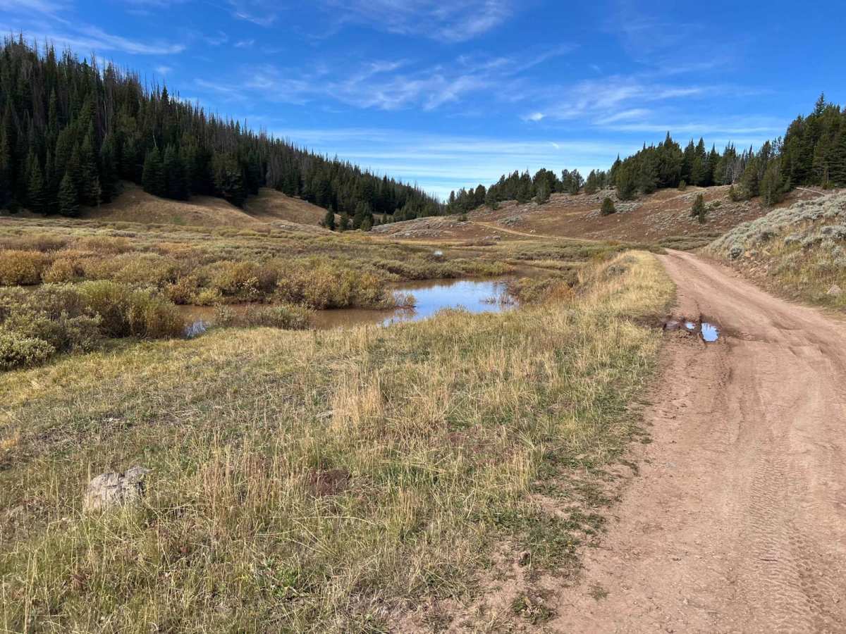 Cottonwood Creek Road - FS1012 photo 5