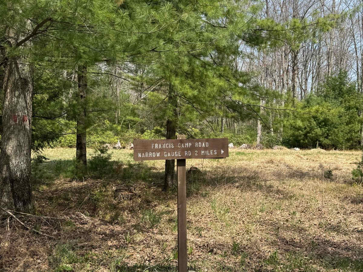 Francis Camp Road trail photo