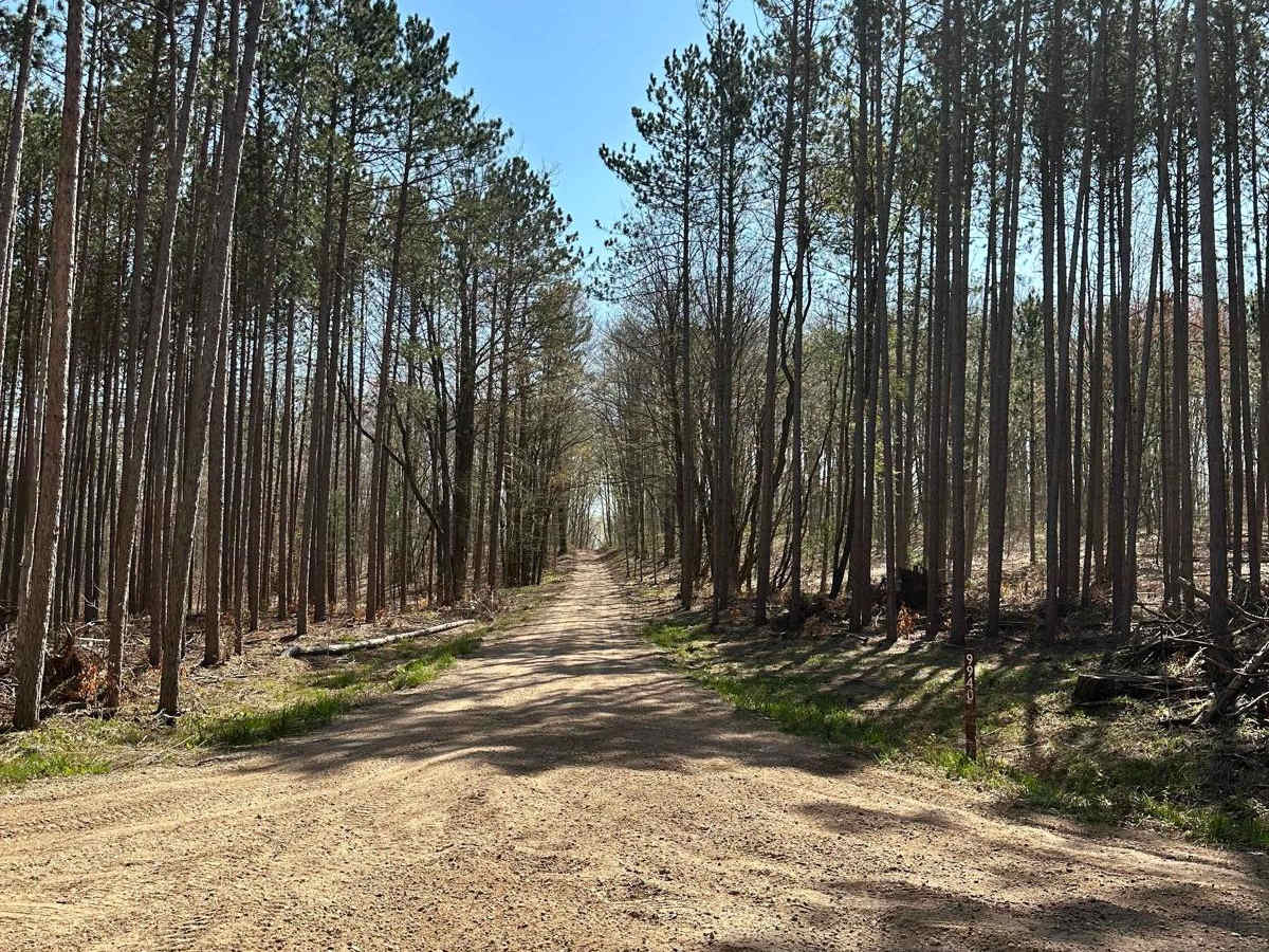 Cadillac Area ORV/OHV Scenic Ride - Part 12 photo 3