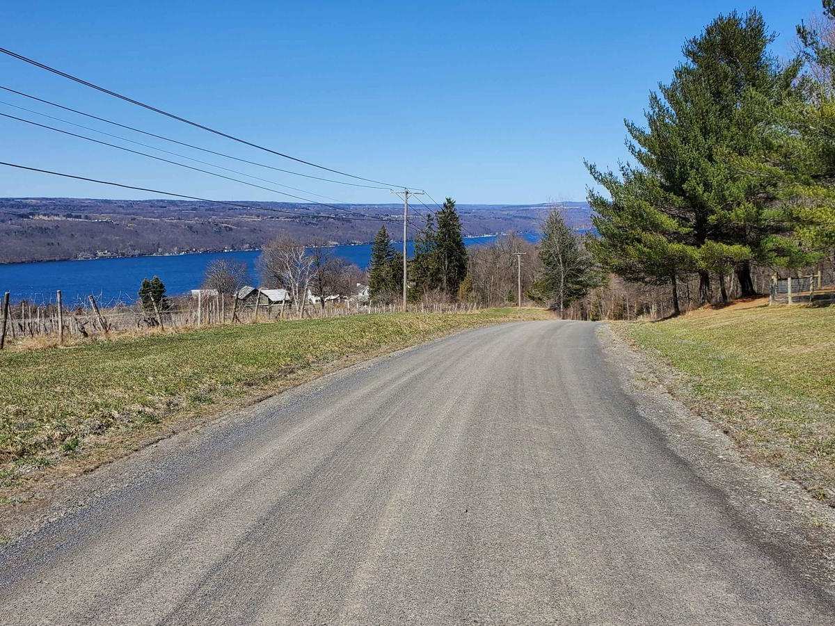 Carpenter Road trail photo