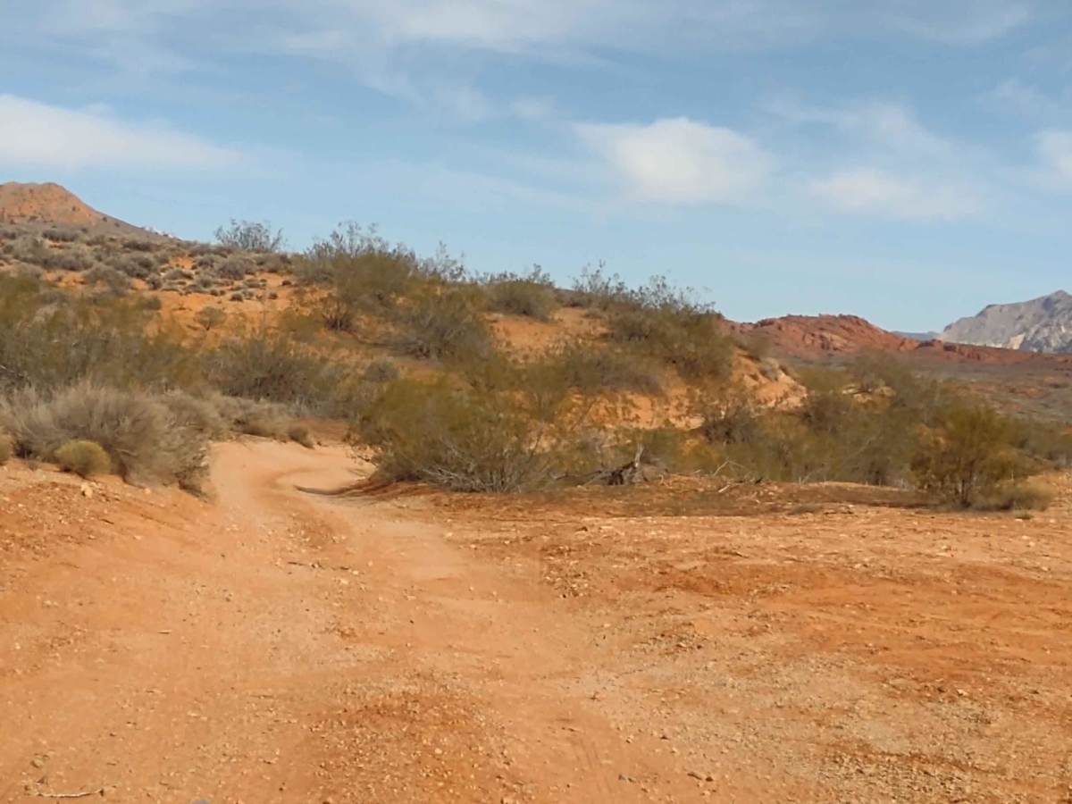 Backdoor to Babylon Trail photo 4