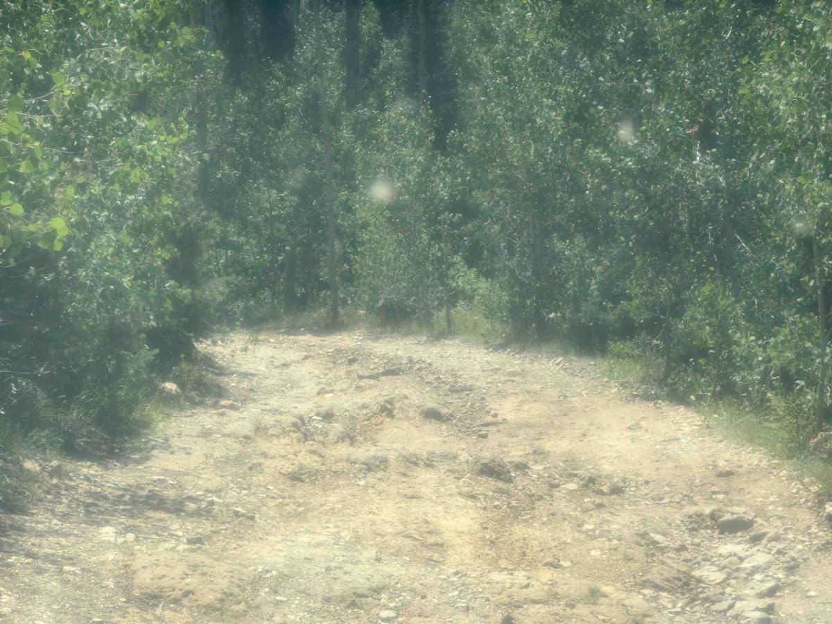 Point Sublime Trail - South Entrance photo 4