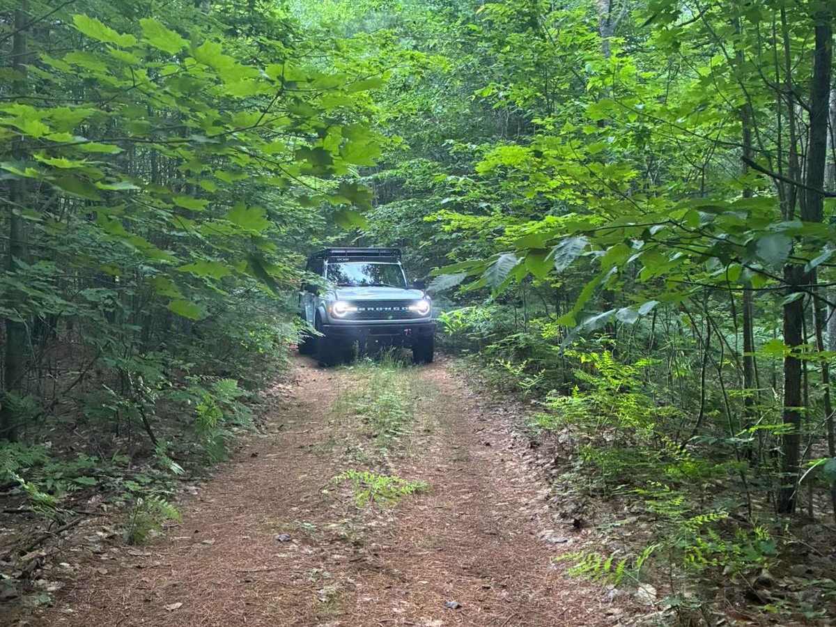 Pinstriper trail photo