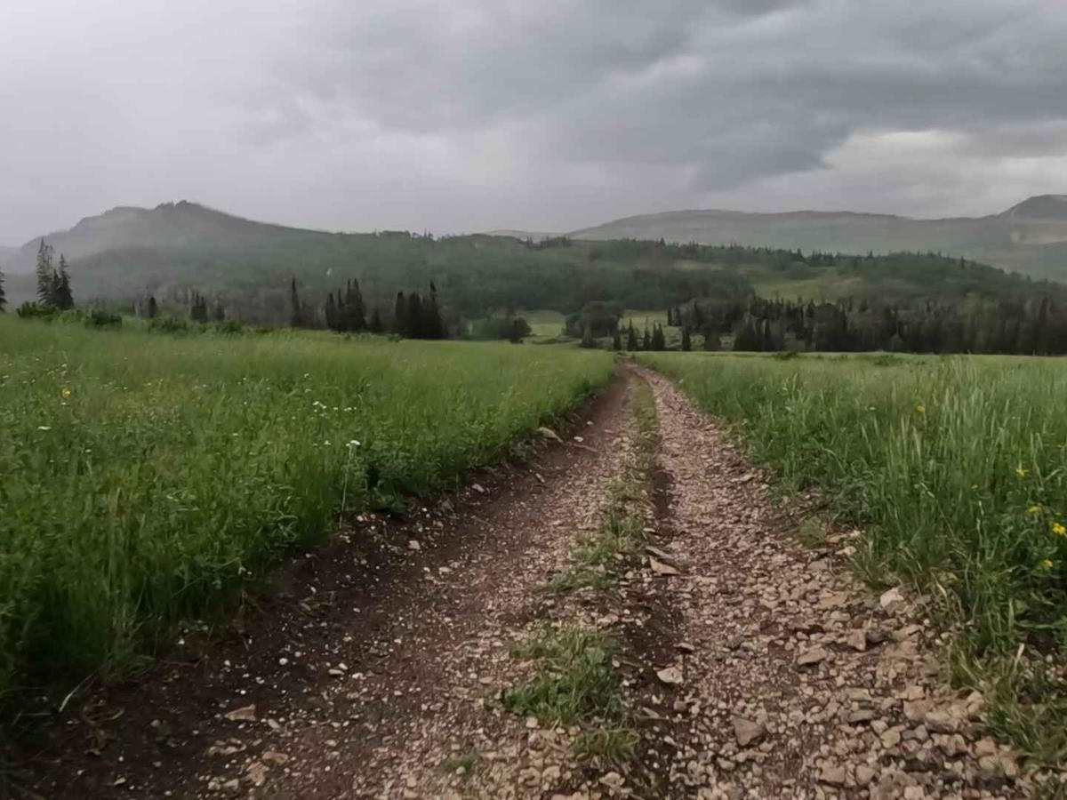 Shoemaker Flat trail photo