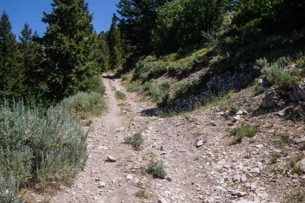 Steep Springs #3450 
