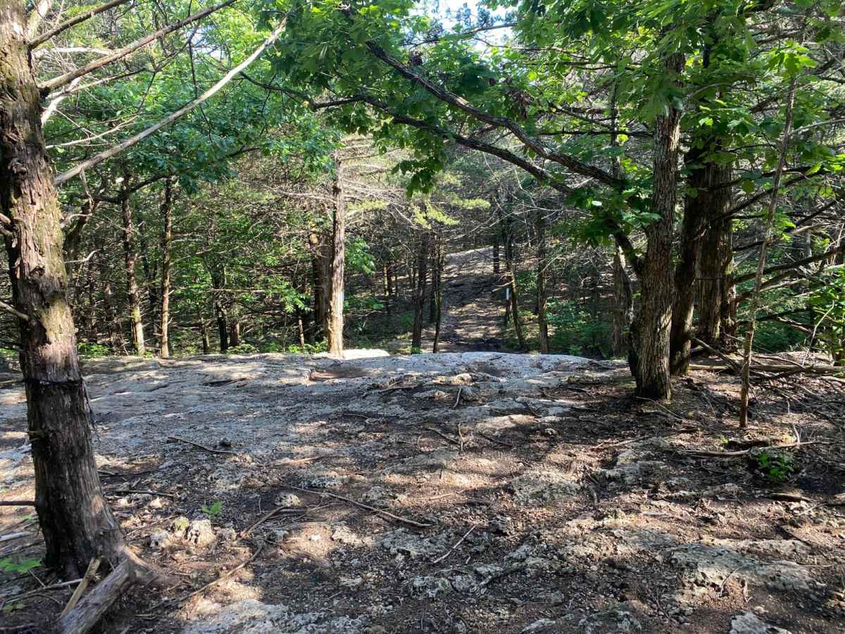 Ron's Rock photo 5