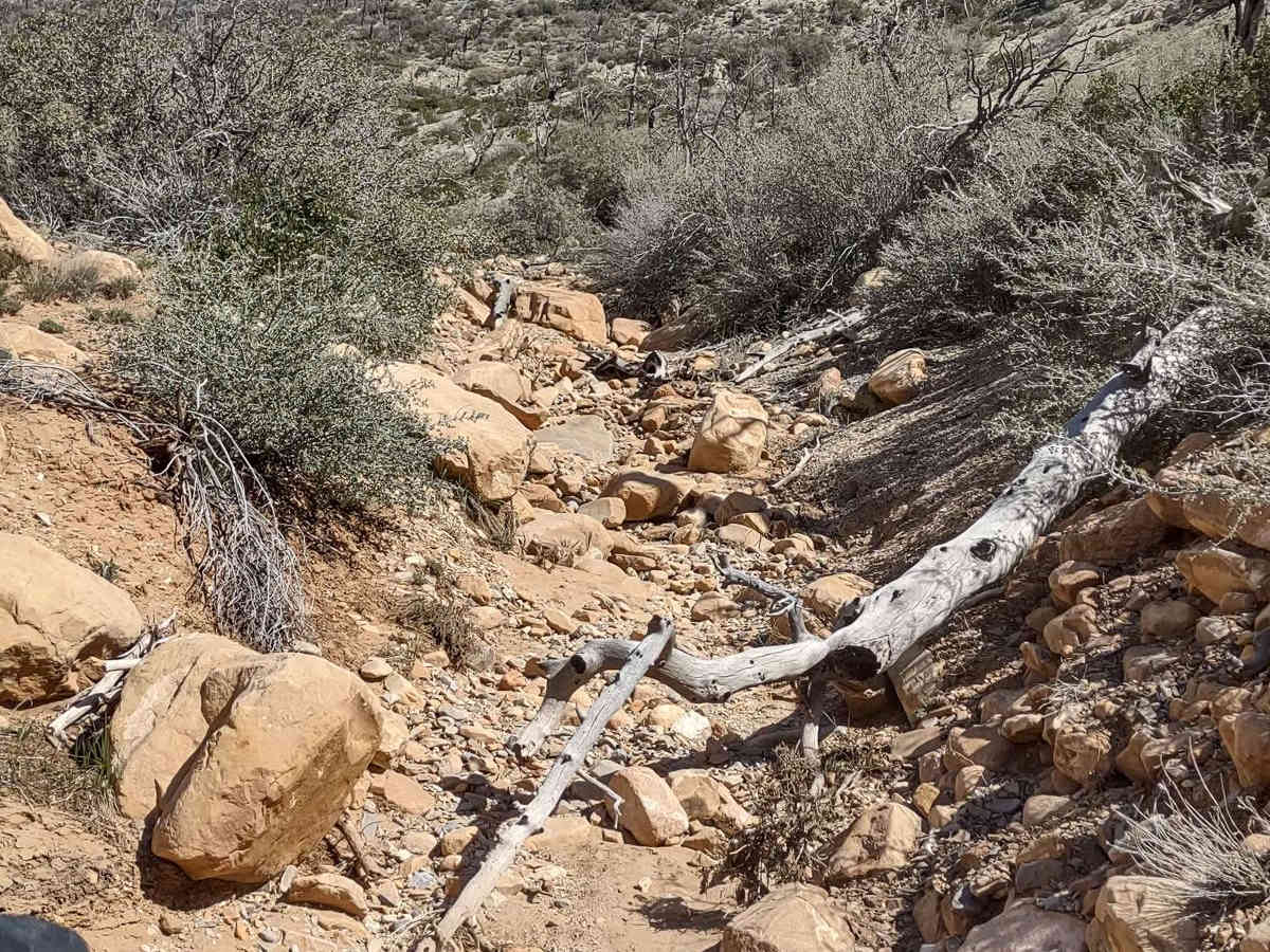 Billy Goat Byway to Jackson Peak photo 6