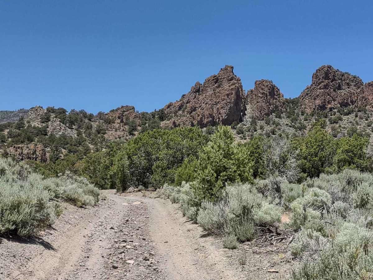 Oak Basin (FS# 40144) photo 4