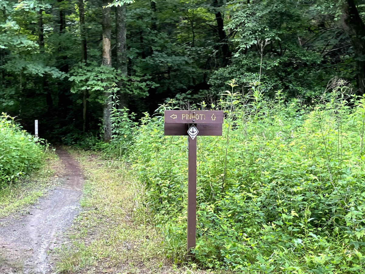 Mulberry Gap Road photo 4
