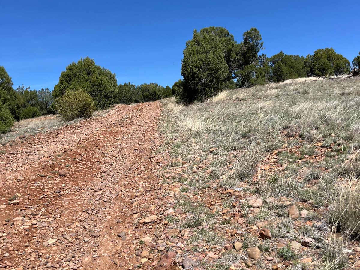 Hunt Tank Shortcut photo 4