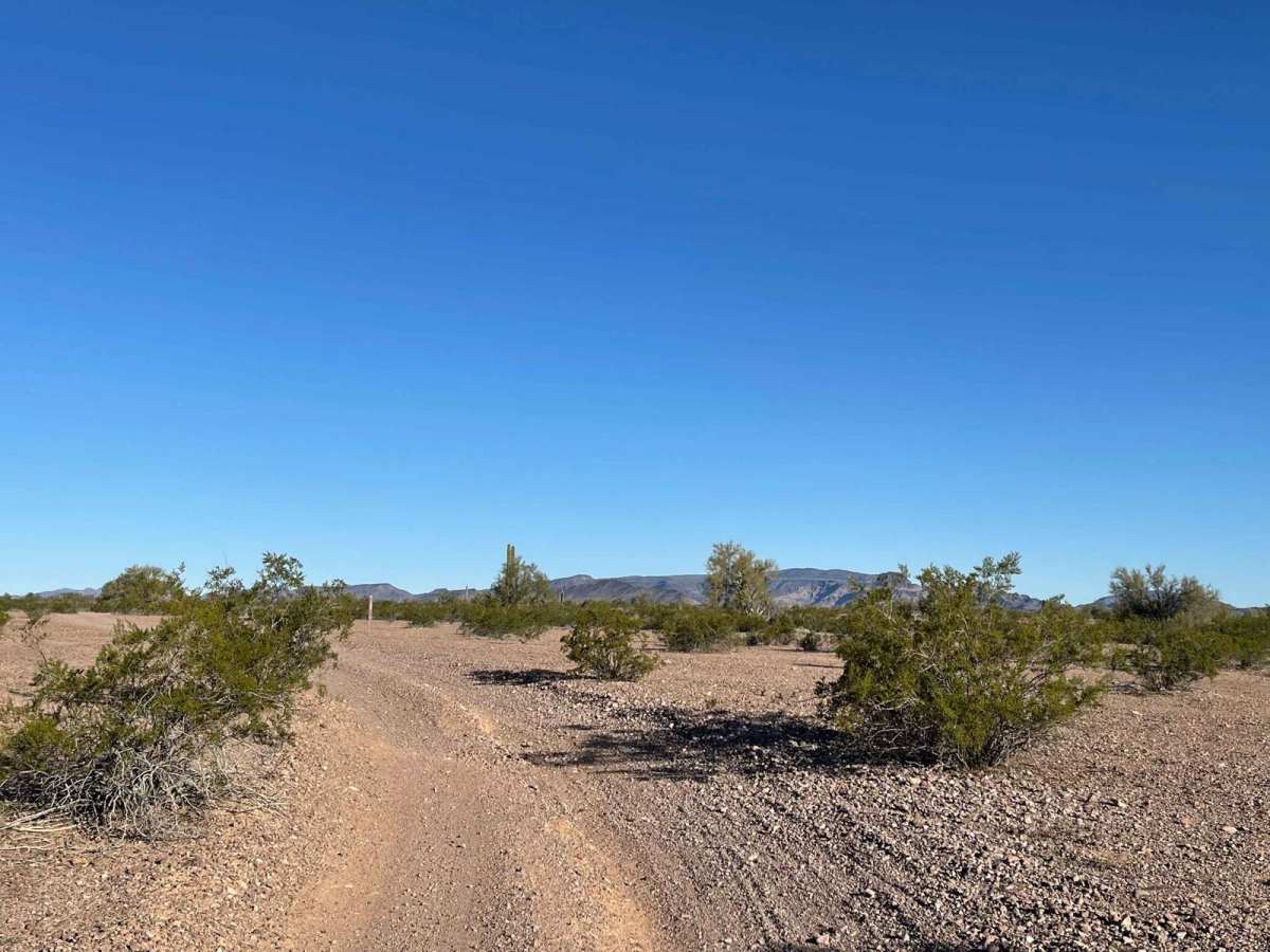 Wildlife Water Run trail photo